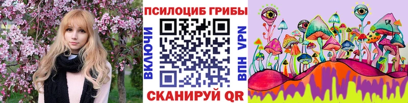 Галлюциногенные грибы MAGIC MUSHROOMS  Купить закладки  Котельники 